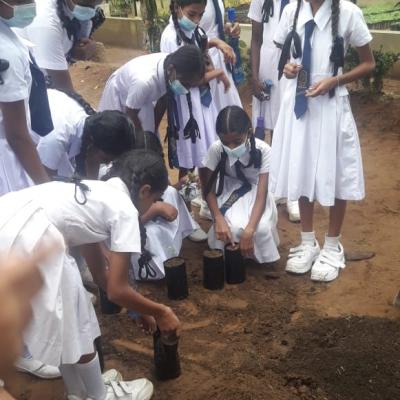 ක්‍රේෂ්ත්‍ර චාරිකා